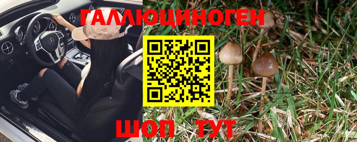 Рязань  Галлюциногенные грибы Magic Shrooms  Вход с VPN  Галлюциногенные грибы Cubensis 