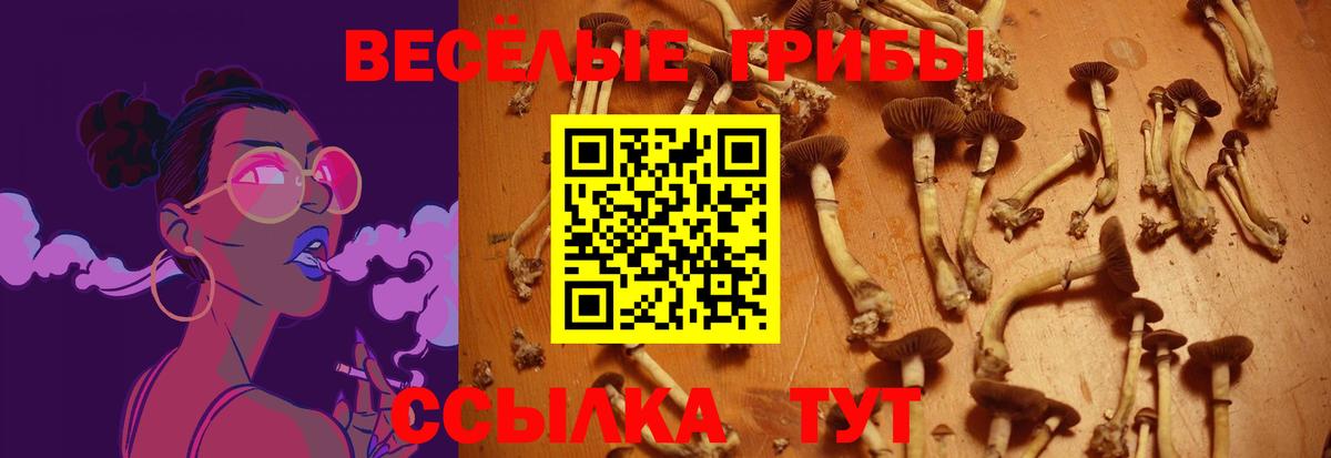 Псилоцибиновые грибы прущие грибы Рязань